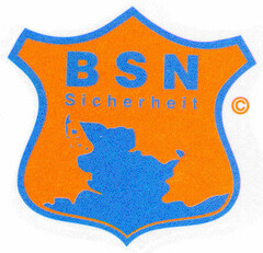 BSN Sicherheit C