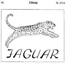 JAGUAR