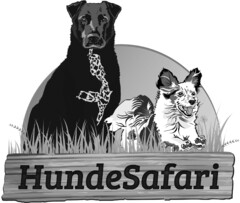 HundeSafari