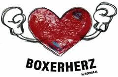 BOXERHERZ