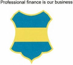 Professional Finance is our business