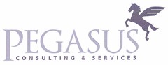 PEGASUS Consulting & Services
