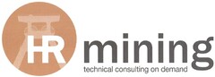 HR-mining technical consulting on demand