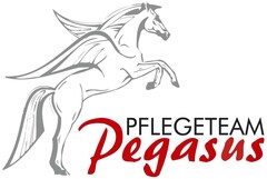 PFLEGETEAM Pegasus
