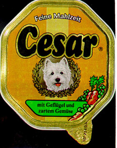 Cesar mit Geflügel und zartem Gemüse