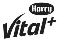 Harry Vital +