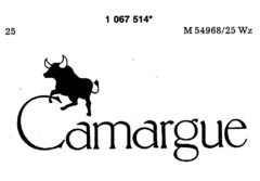 Camargue