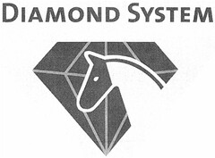 DIAMOND SYSTEM