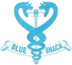 BLUE SNACA