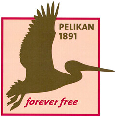 PELIKAN 1891 forever free