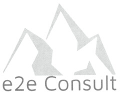 e2e Consult