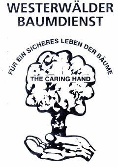 WESTERWÄLDER BAUMDIENST FÜR EIN SICHERES LEBEN DER BÄUME THE CARING HAND