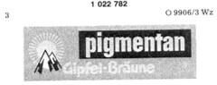 pigmentan Gipfel-Bräune