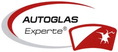 AUTOGLAS Experte