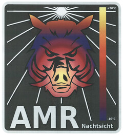 AMR Nachtsicht