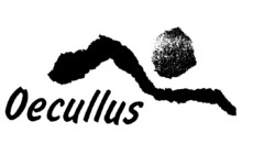 Oecullus