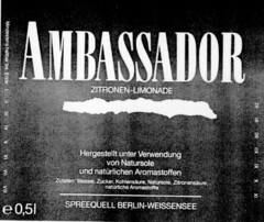 AMBASSADOR