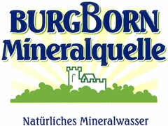 BURGBORN Mineralquelle