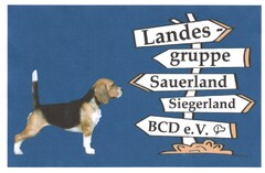 Landesgruppe Sauerland Siegerland BCD e.V.
