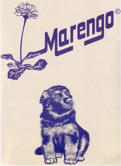 Marengo