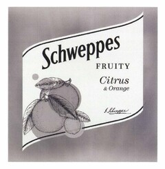 Schweppes FRUITY Citrus & Orange
