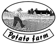 Potato farm