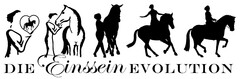 DIE Einssein EVOLUTION