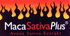 MacaSativaPlus Avena Sativa-Extrakt