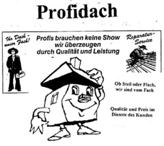 Profidach