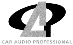 CAR AUDIO PROFESSIONAL