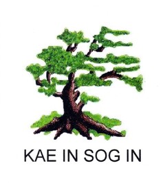 KAE IN SOG IN