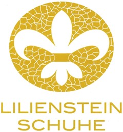 LILIENSTEIN SCHUHE