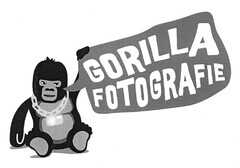 GORILLA FOTOGRAFIE