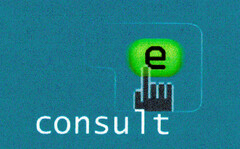 e consult