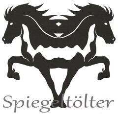 Spiegeltölter