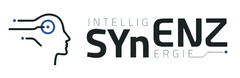 INTELLIGENZ SYnENZ SYnERGIE