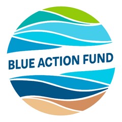 BLUE ACTION FUND
