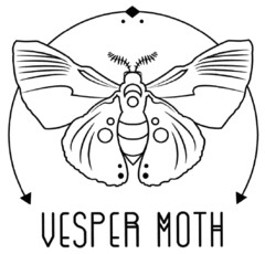 VESPER MOTH