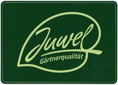 Juwel Gärtnerqualität