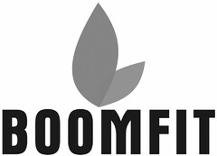 BOOMFIT