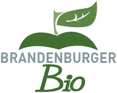 BRANDENBURGER Bio