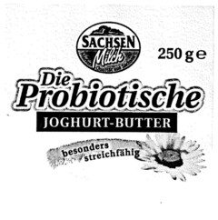 SACHSEN Milch Die Probiotische JOGHURT-BUTTER