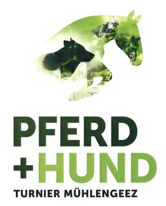 PFERD + HUND TURNIER MÜHLENGEEZ