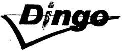 Dingo