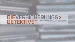 DIEVERSICHERUNGS> DETEKTIVE >>> DER WAHRHEIT AUF DER SPUR