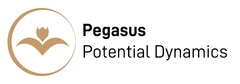 Pegasus Potential Dynamics