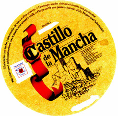 Castillo de la Mancha