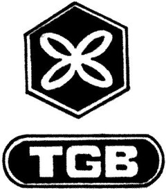 TGB