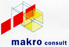 makro consult