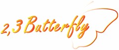 2,3 Butterfly